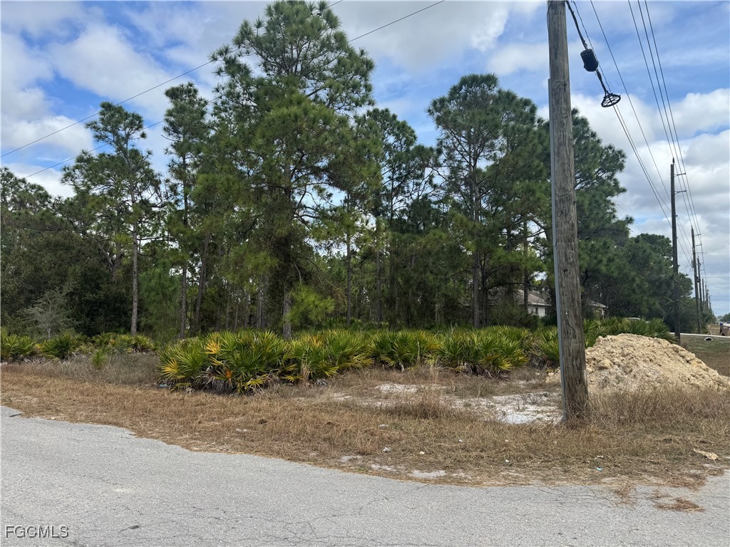 706 W 17th Street Lehigh Acres FL 33972 2026002413 image2