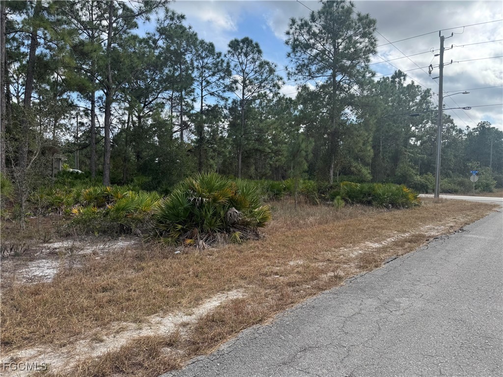 706 W 17th Street Lehigh Acres FL 33972 2026002413 image4
