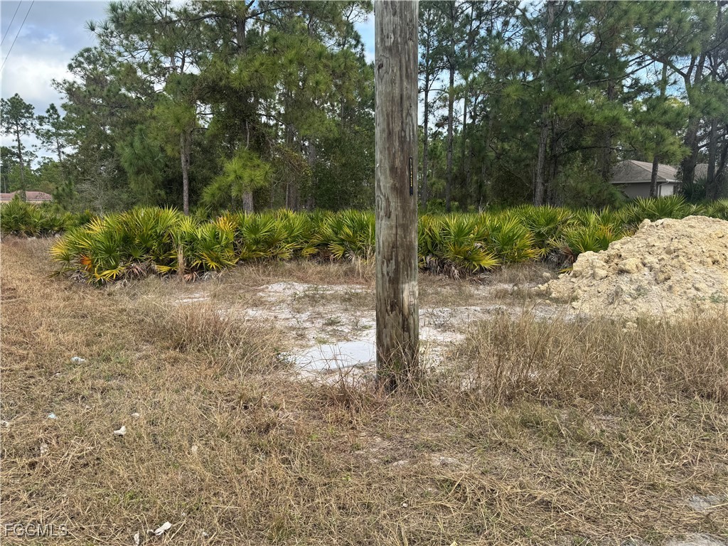 706 W 17th Street Lehigh Acres FL 33972 2026002413 image5