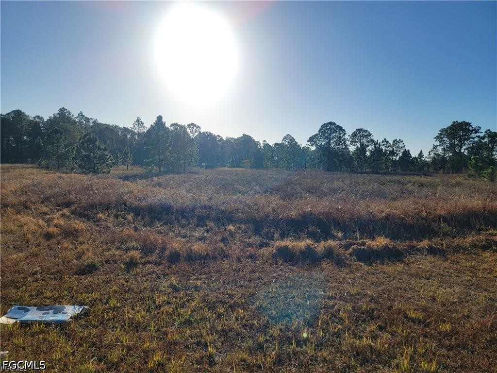 707 Frontenac Avenue S Lehigh Acres FL 33974 2026017504 image4