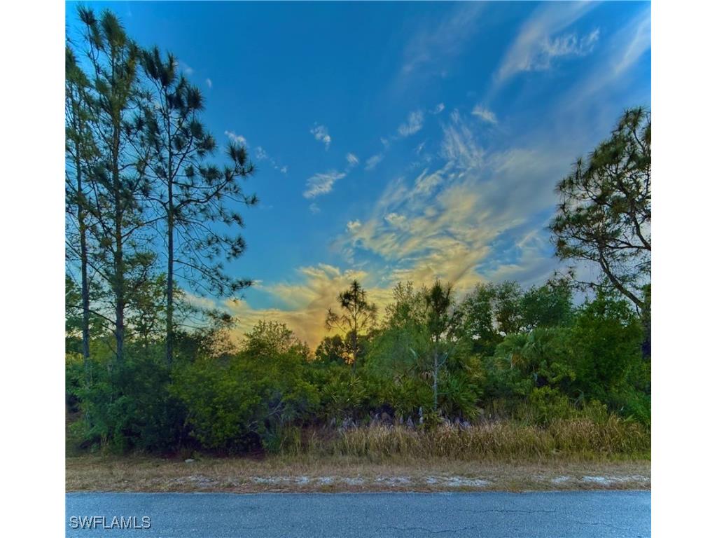 707 Lake Avenue Lehigh Acres FL 33972 225035029 image1