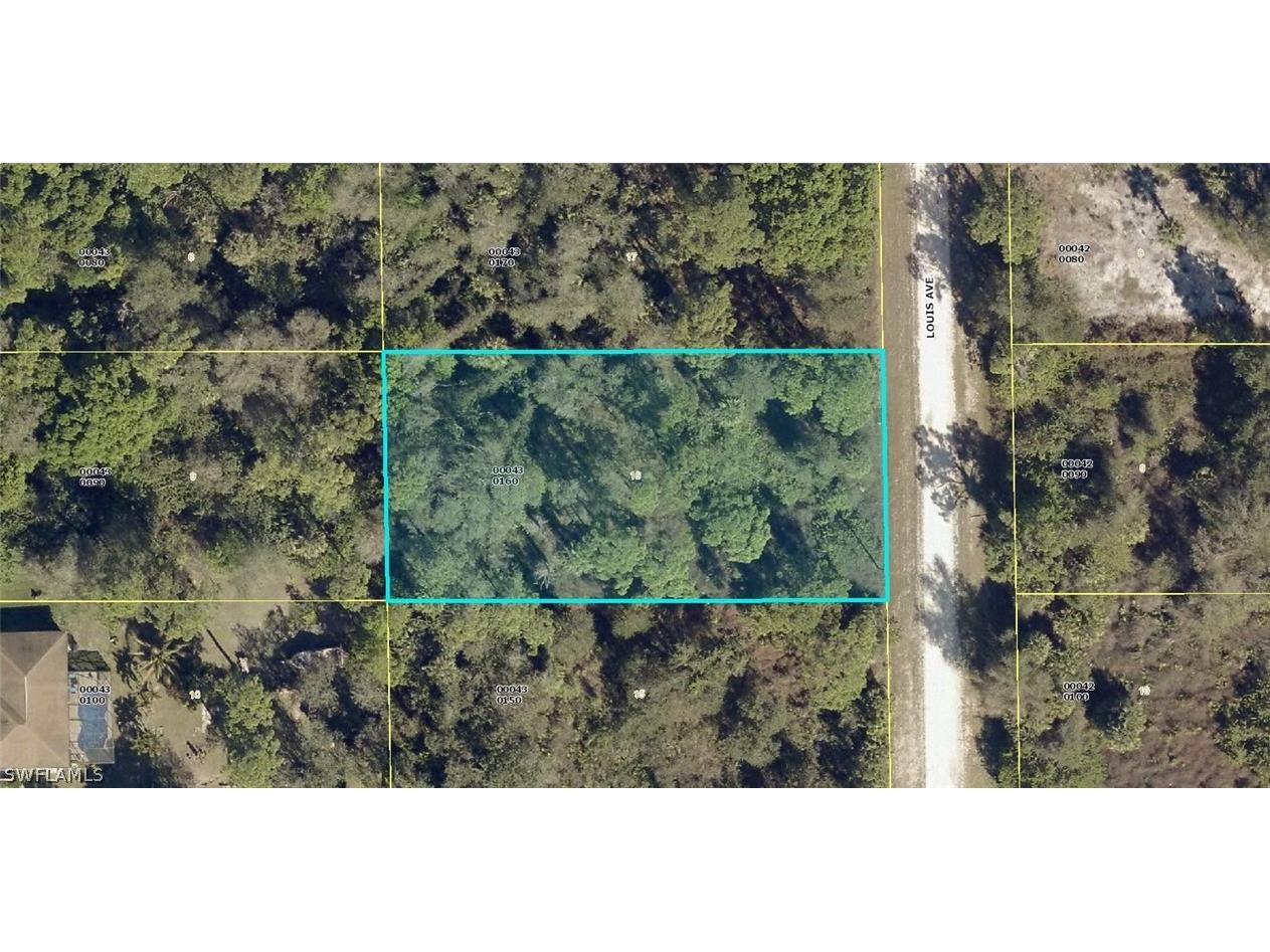 707 Louis Avenue Lehigh Acres FL 33972 222060625 image1