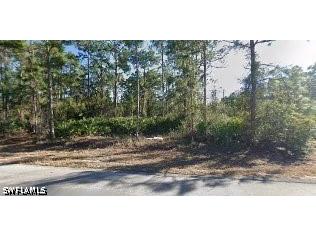 707 W 17th Street Lehigh Acres FL 33972 226021565 image2