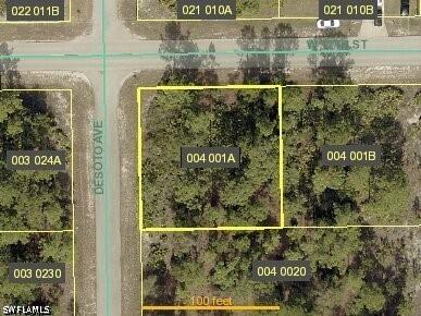 707 W 17th Street Lehigh Acres FL 33972 226021565 image3