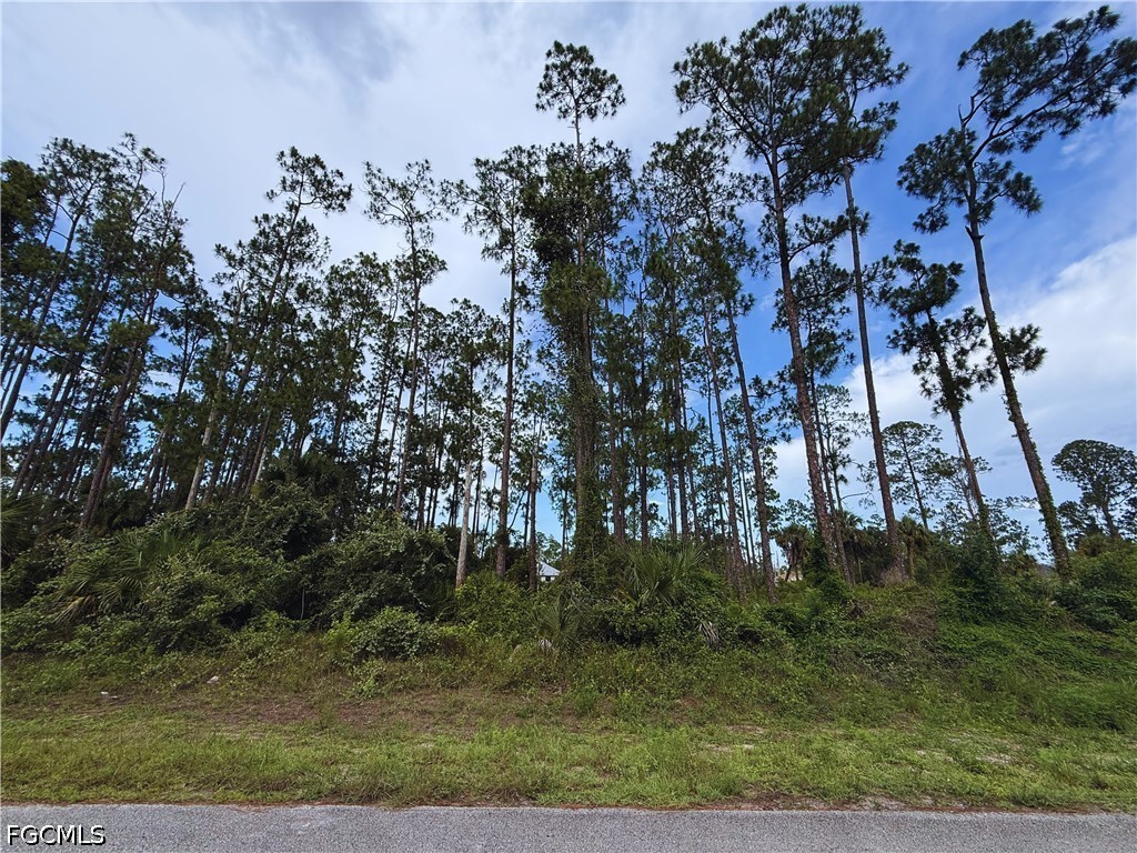708 Wellington Avenue Lehigh Acres FL 33972 2026028079 image2