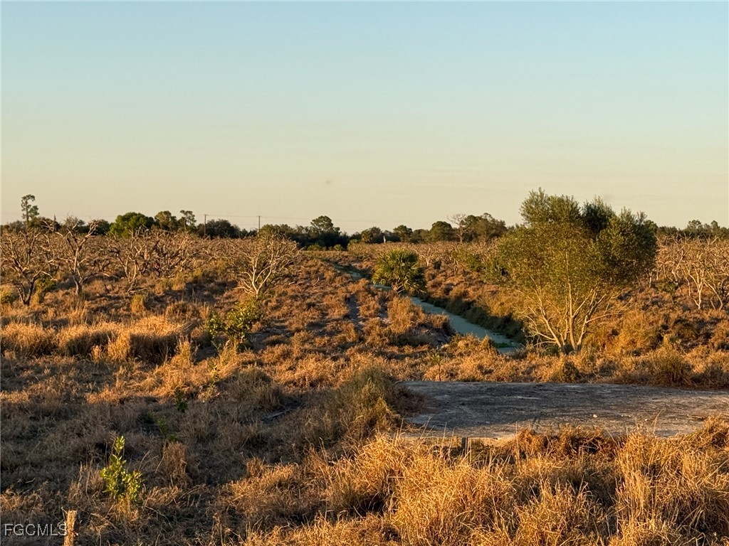 7080 6th Road Labelle FL 33935 2026003384 image1