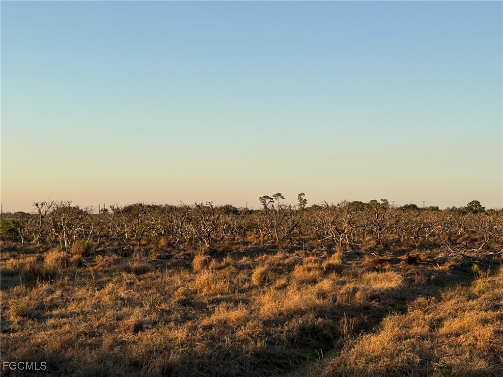 7080 6th Road Labelle FL 33935 2026003384 image6