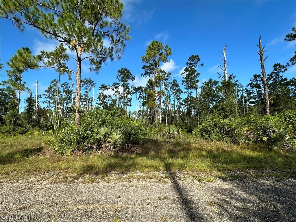 709 Monroe Avenue Lehigh Acres FL 33936 224027078 image1