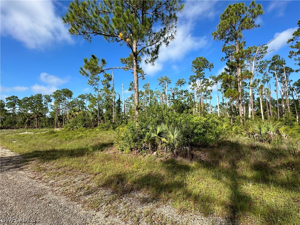 709 Monroe Avenue Lehigh Acres FL 33972 223056013 image1