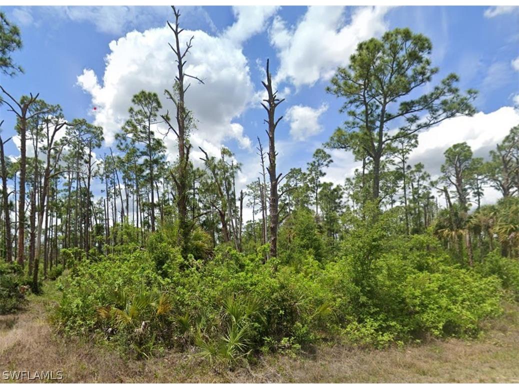 709 Monroe Avenue Lehigh Acres FL 33972 226007908 image1