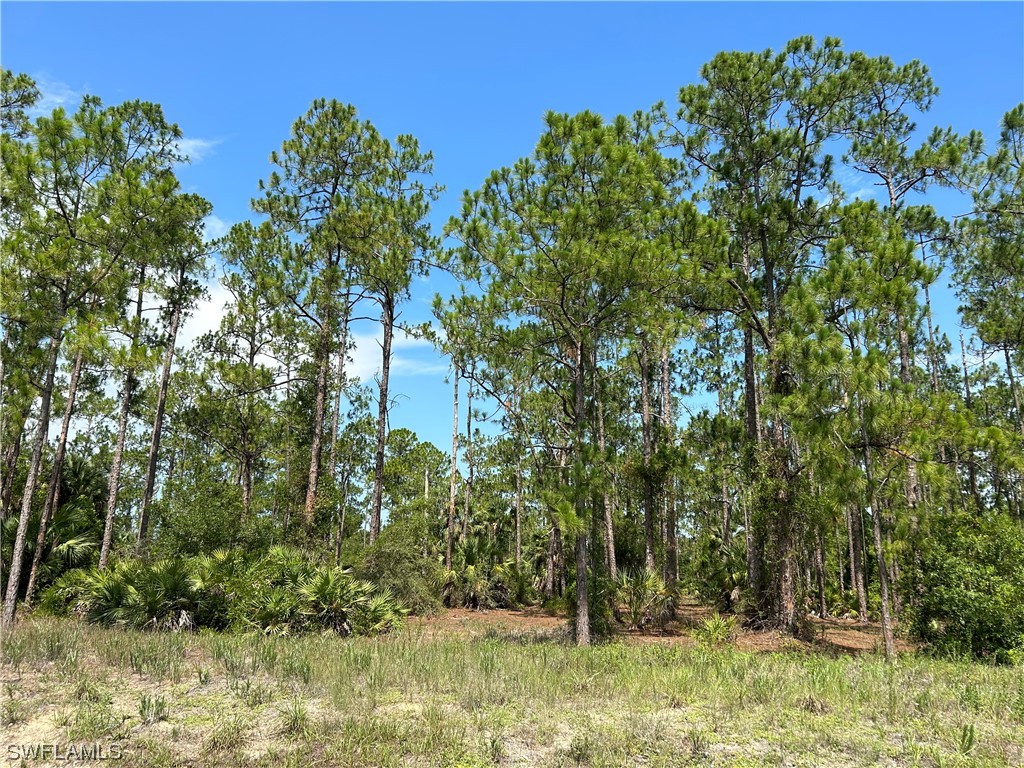 709 Truman Avenue Lehigh Acres FL 33972 223046500 image1