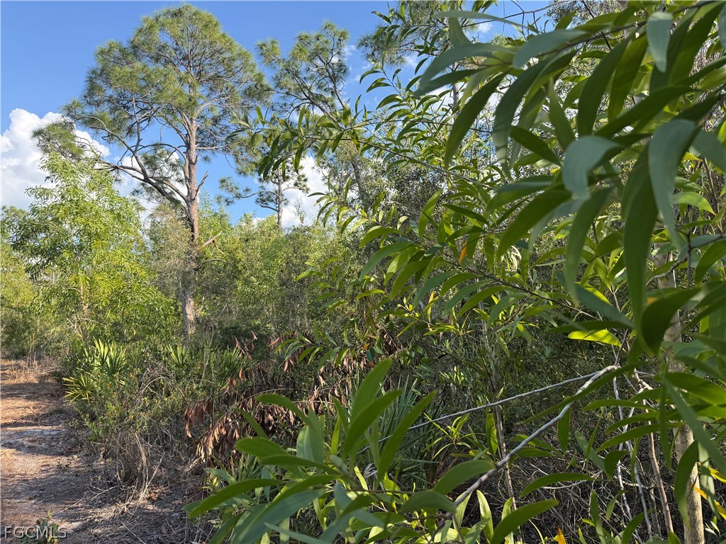 7091 Guava Avenue Bokeelia FL 33922 2026011843 image8