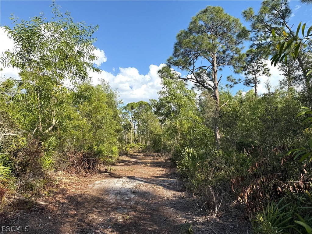 7091 Guava Avenue Bokeelia FL 33922 2026011843 image9