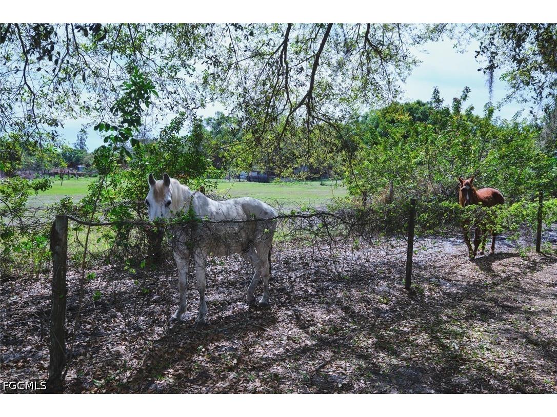 710 & 740 Evans Road Labelle FL 33935 2026013413 image35