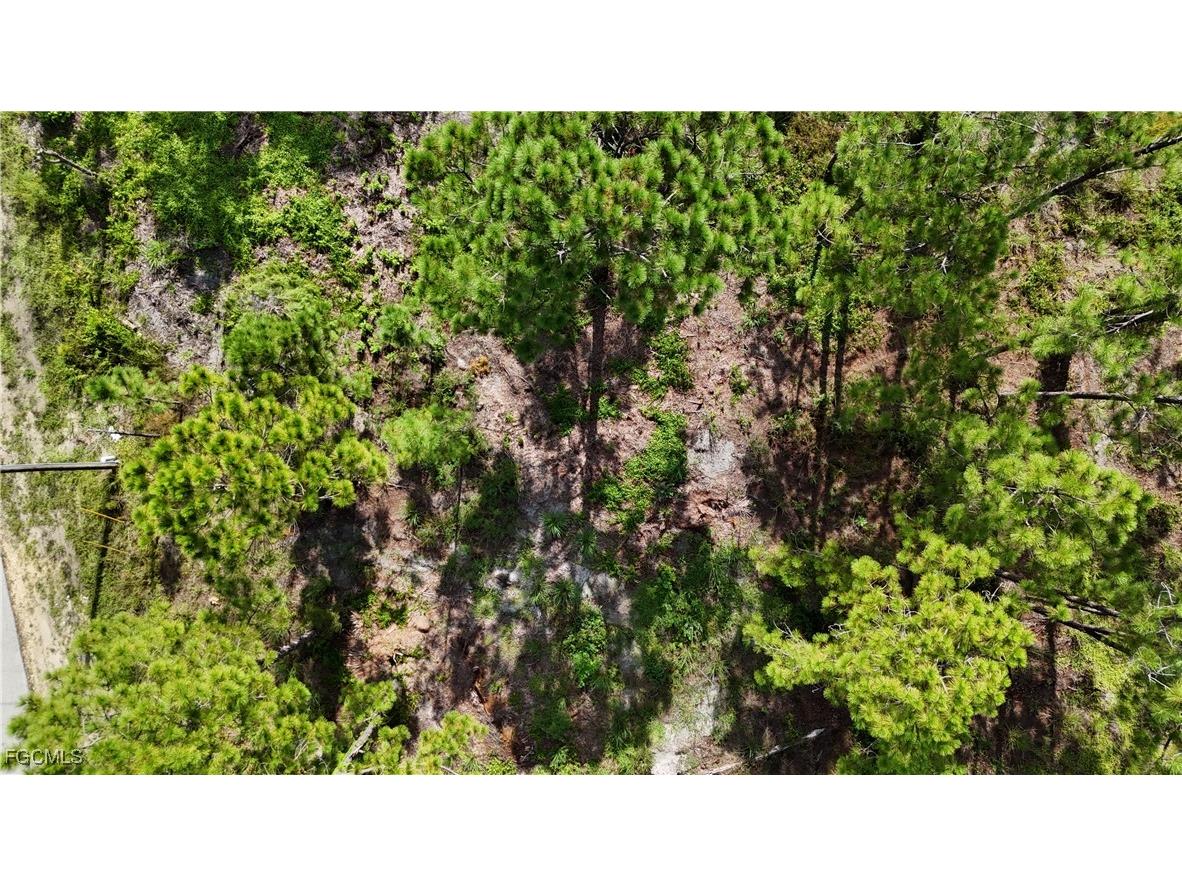 710 Almelia Street E Lehigh Acres FL 33974 2025009865 image5