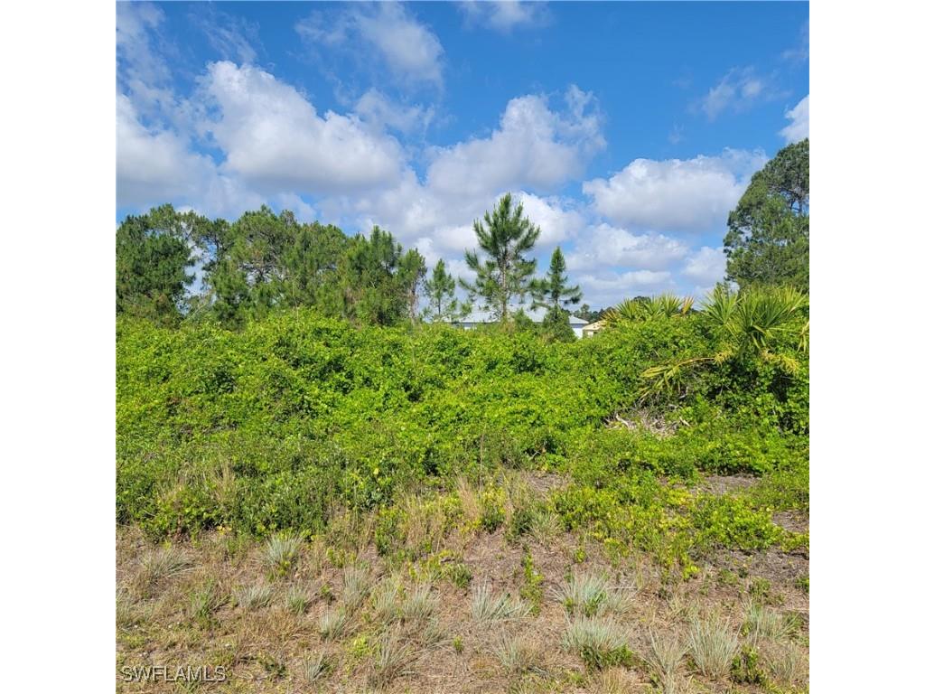 710 Azure Avenue Lehigh Acres FL 33974 225041886 image1