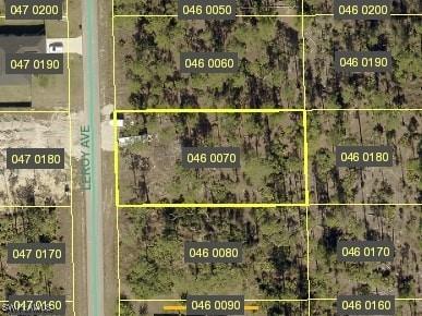 710 Leroy Avenue Lehigh Acres FL 33972 225073544 image1