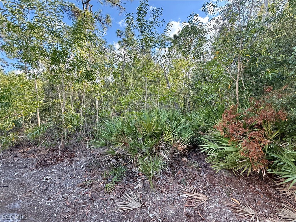 7101 Guava Avenue Bokeelia FL 33922 2026011836 image4