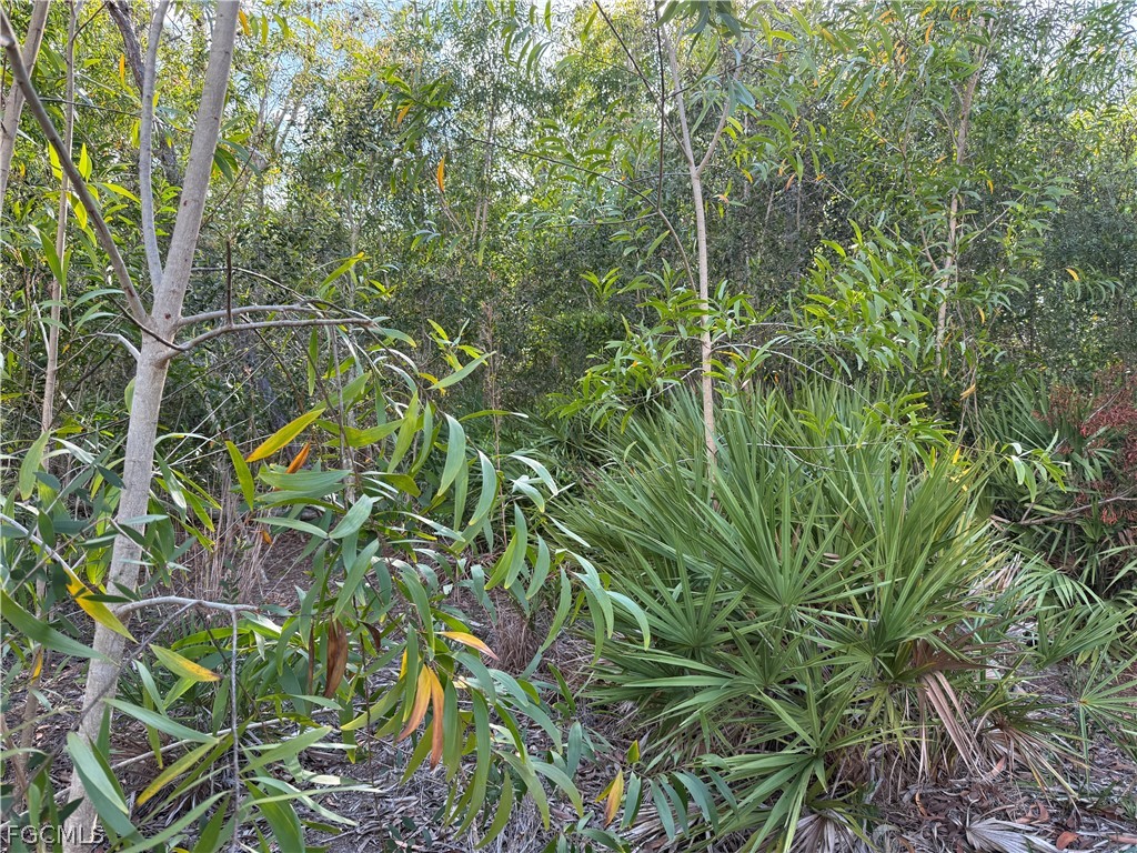 7101 Guava Avenue Bokeelia FL 33922 2026011836 image6