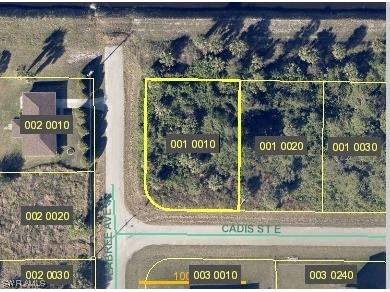 711 Cadis Street E Lehigh Acres FL 33974 223020754 image1