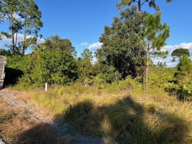 711 Da Vinci Avenue S Lehigh Acres FL 33974 2025020740 image2