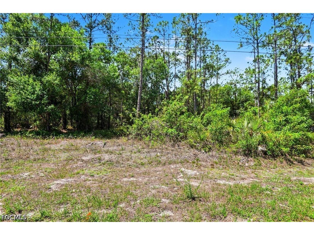 711 Wellington Avenue Lehigh Acres FL 33972 2026017215 image3