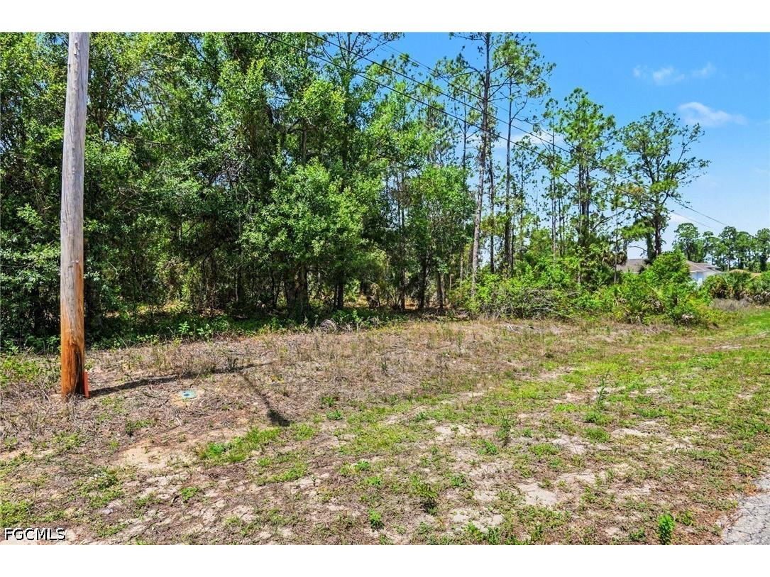 711 Wellington Avenue Lehigh Acres FL 33972 2026017215 image4