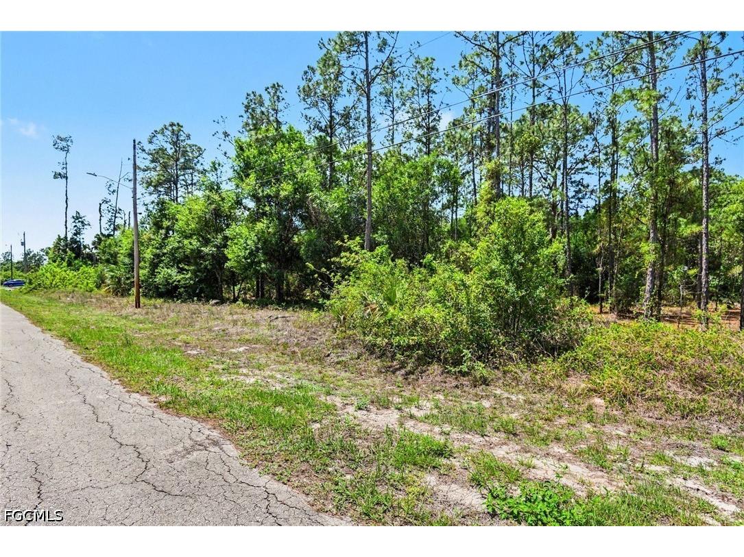 711 Wellington Avenue Lehigh Acres FL 33972 2026017215 image6