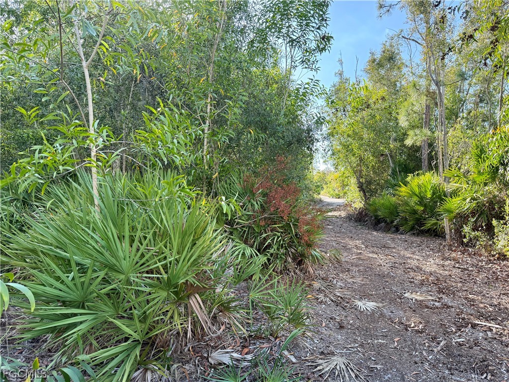 7111 Guava Avenue Bokeelia FL 33922 2026011825 image5