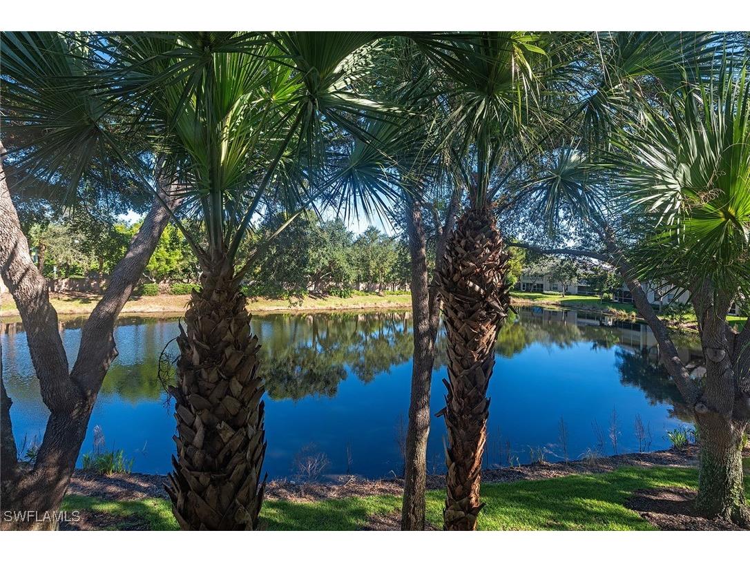 7115 Wild Forest Court #201 Naples FL 34109 225075643 image13