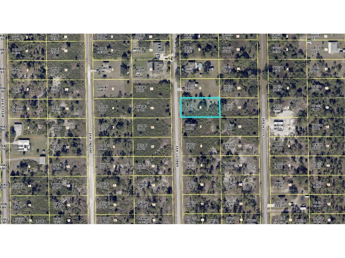 712 Abbott Avenue Lehigh Acres FL 33972 223079213 image1