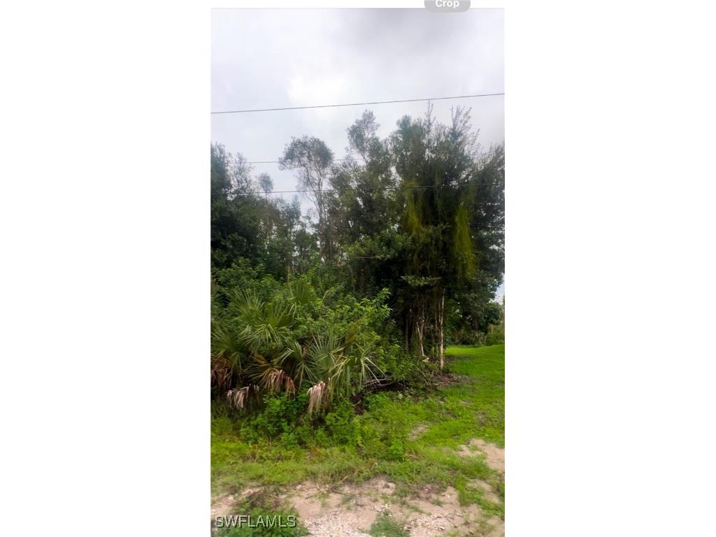 712 Crestline Avenue S Lehigh Acres FL 33974 225057077 image1