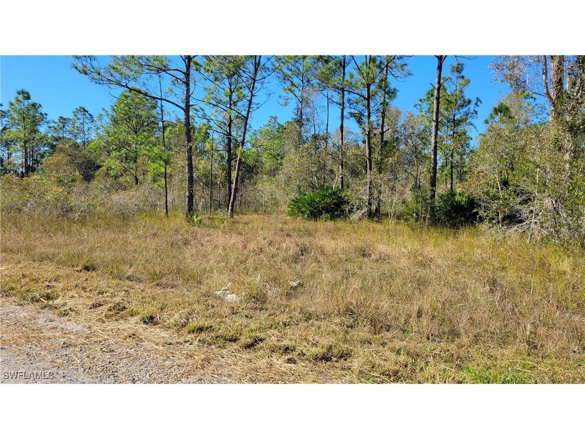 712 Gaylord Avenue S Lehigh Acres FL 33974 224096475 image1