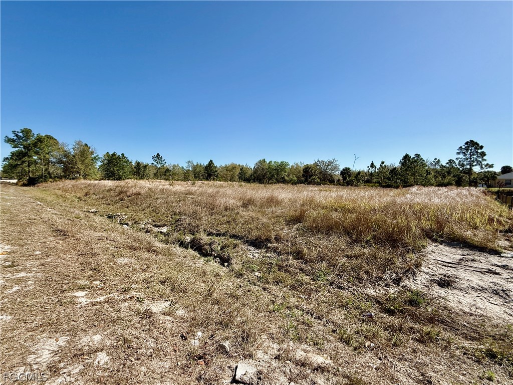 712 Greenwood Avenue Lehigh Acres FL 33972 2026013486 image3