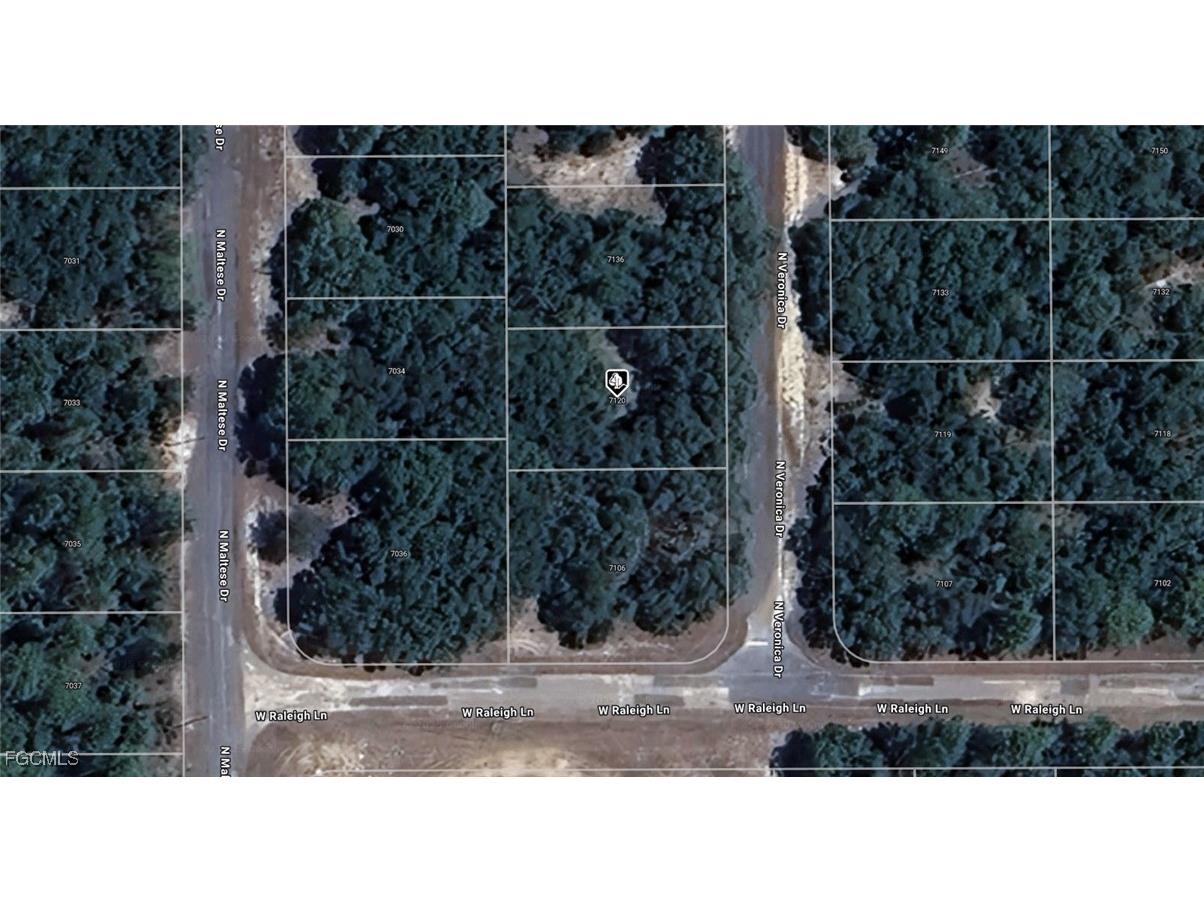 7120 N Veronica Drive Dunnellon FL 34433 2025017893 image1