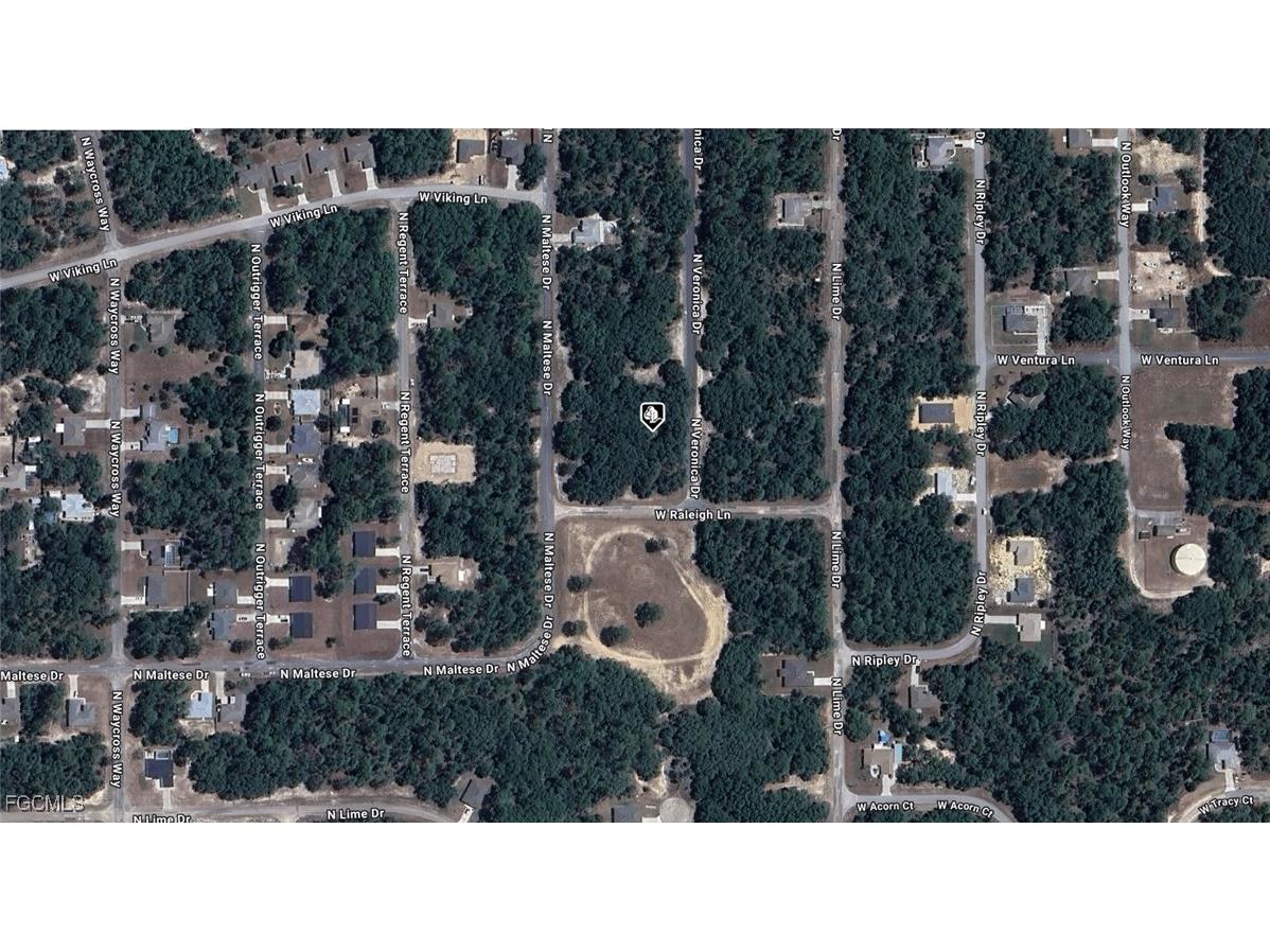 7120 N Veronica Drive Dunnellon FL 34433 2025017893 image2