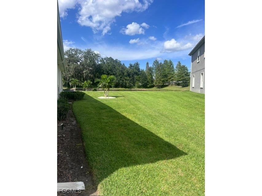 7121 Hatpin Loop Wesley Chapel FL 33545 2025011088 image23