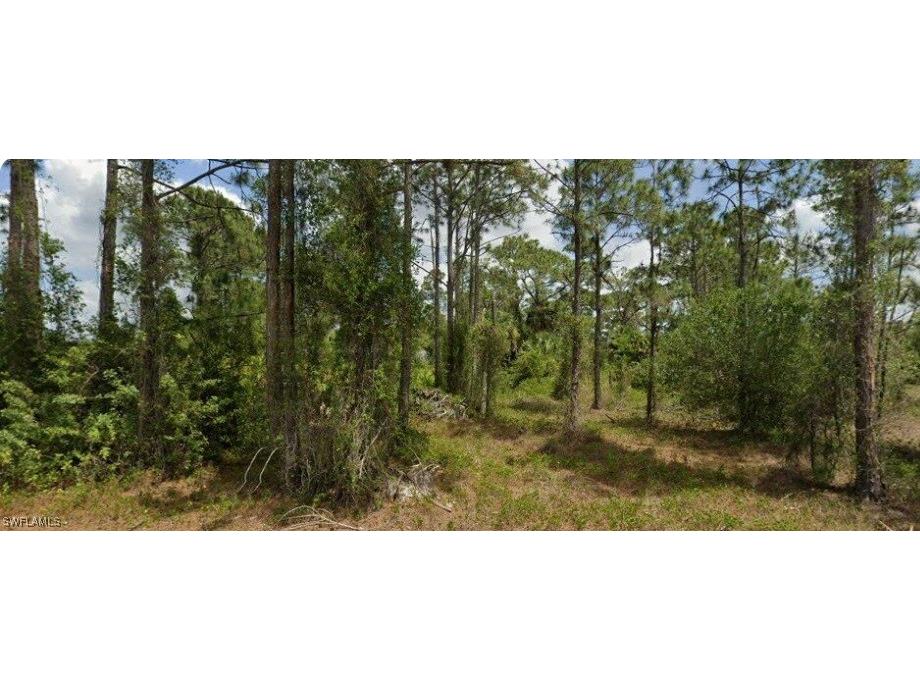 713 Clemwood Avenue S Lehigh Acres FL 33974 225084516 image1