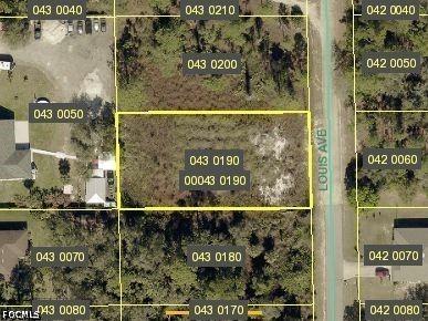 713 Louis Avenue Lehigh Acres FL 33972 2026017815 image1