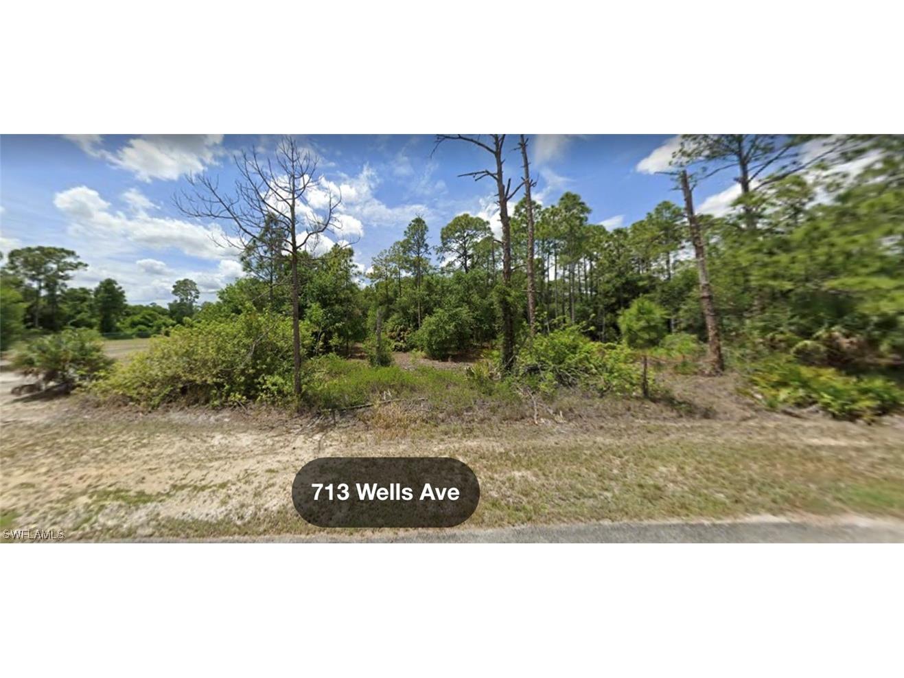 713 Wells Avenue Lehigh Acres FL 33972 223026311 image1