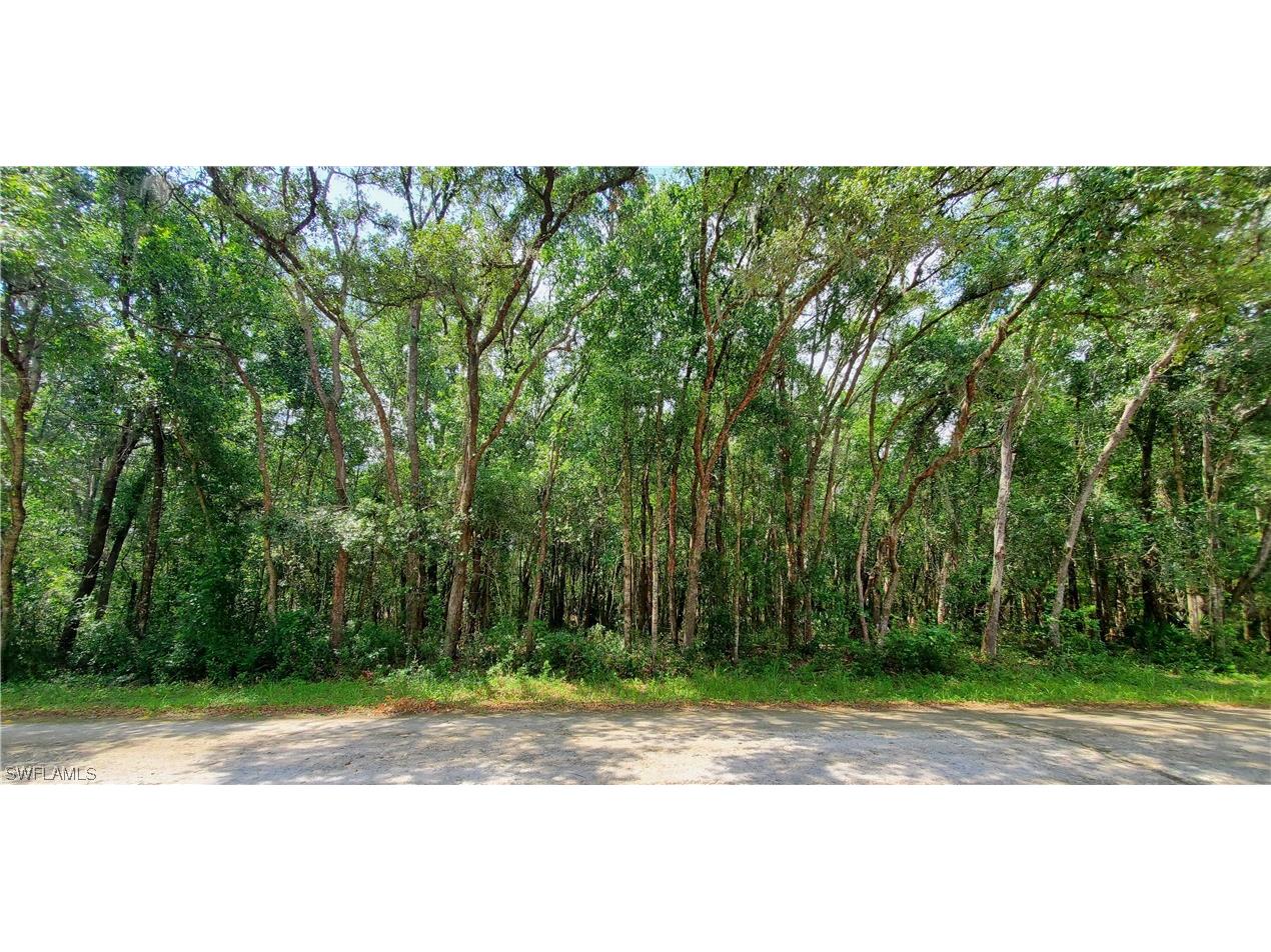 7133 N Canal Street Webster FL 33597 223045620 image1