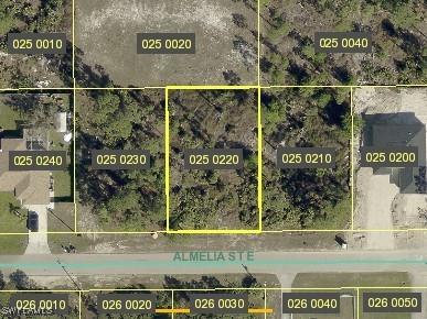 715 Almelia Street E Lehigh Acres FL 33974 225061590 image1