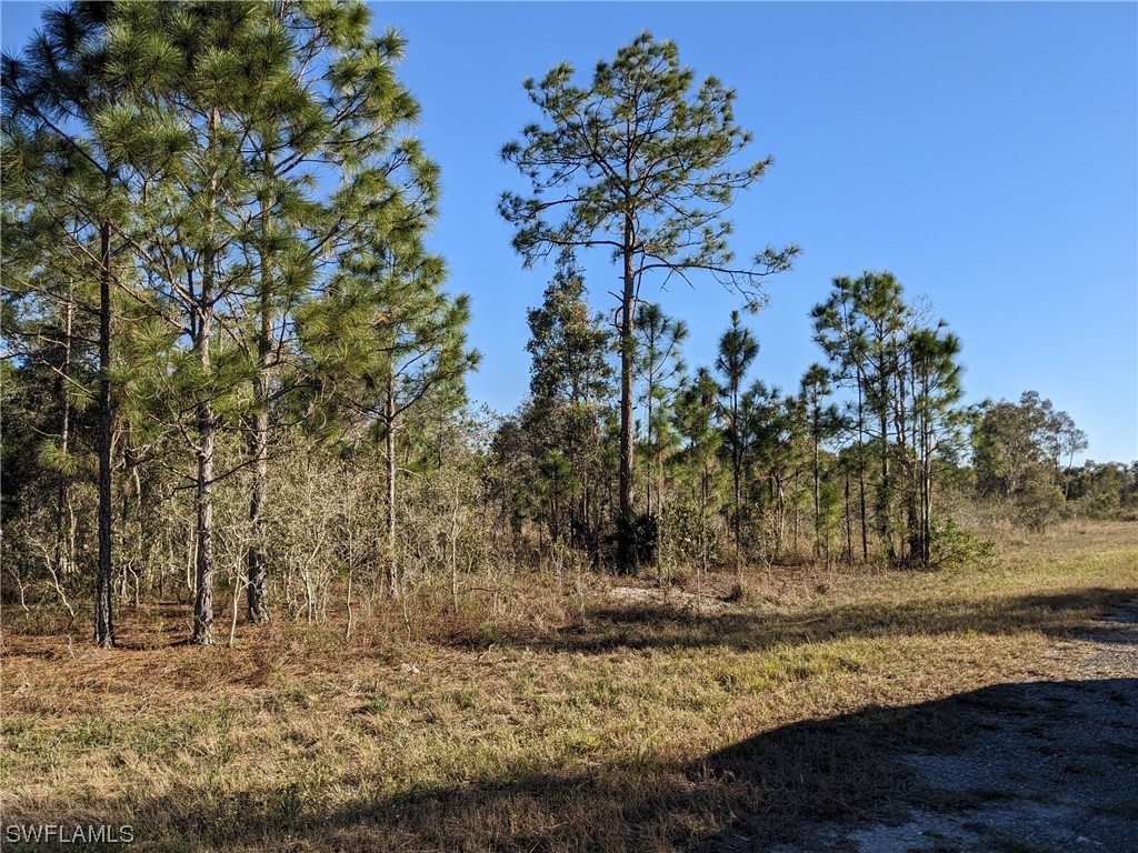 715 Bixby Avenue Lehigh Acres FL 33974 224006762 image1