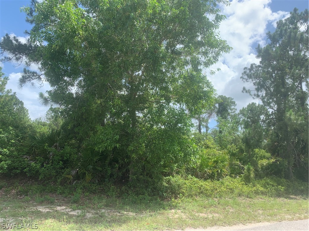 715 Chavers Street Lehigh Acres FL 33974 222044068 image1