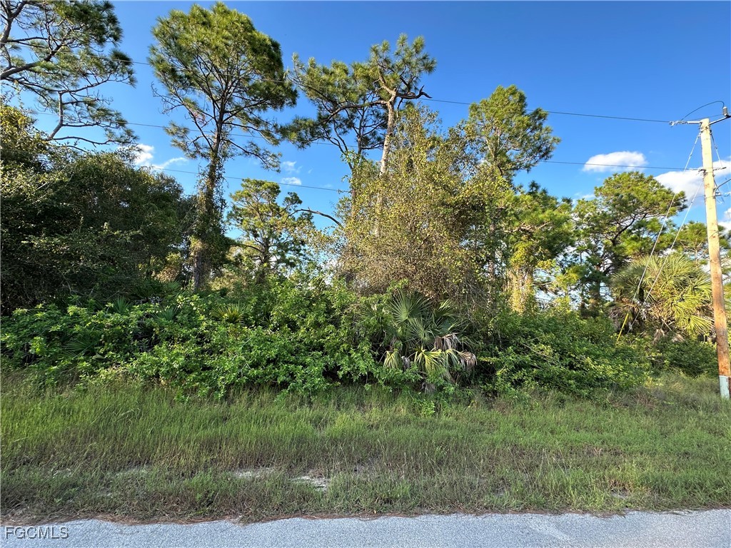 715 Devon Street Lehigh Acres FL 33974 2025013492 image2