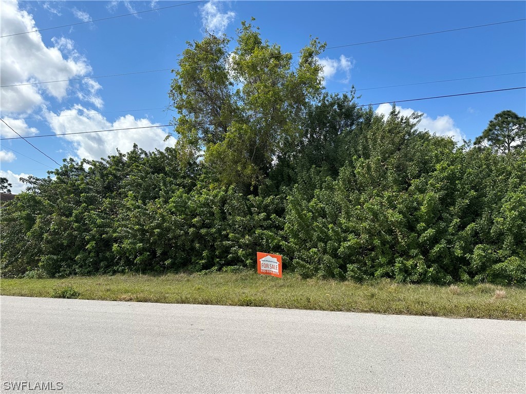 716 Castlestone Avenue S Lehigh Acres FL 33974 224018139 image1