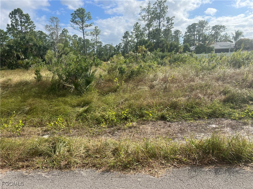 716 Chambers Street E Lehigh Acres FL 33974 2025017261 image1