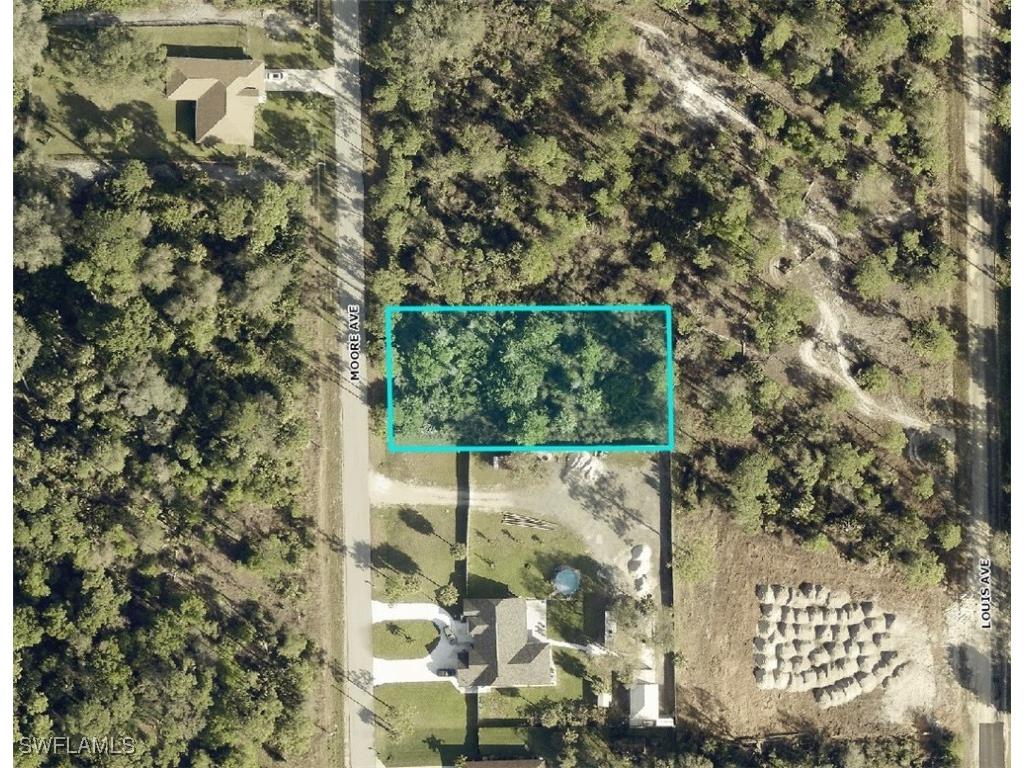 716 Moore Avenue Lehigh Acres FL 33972 224088954 image1