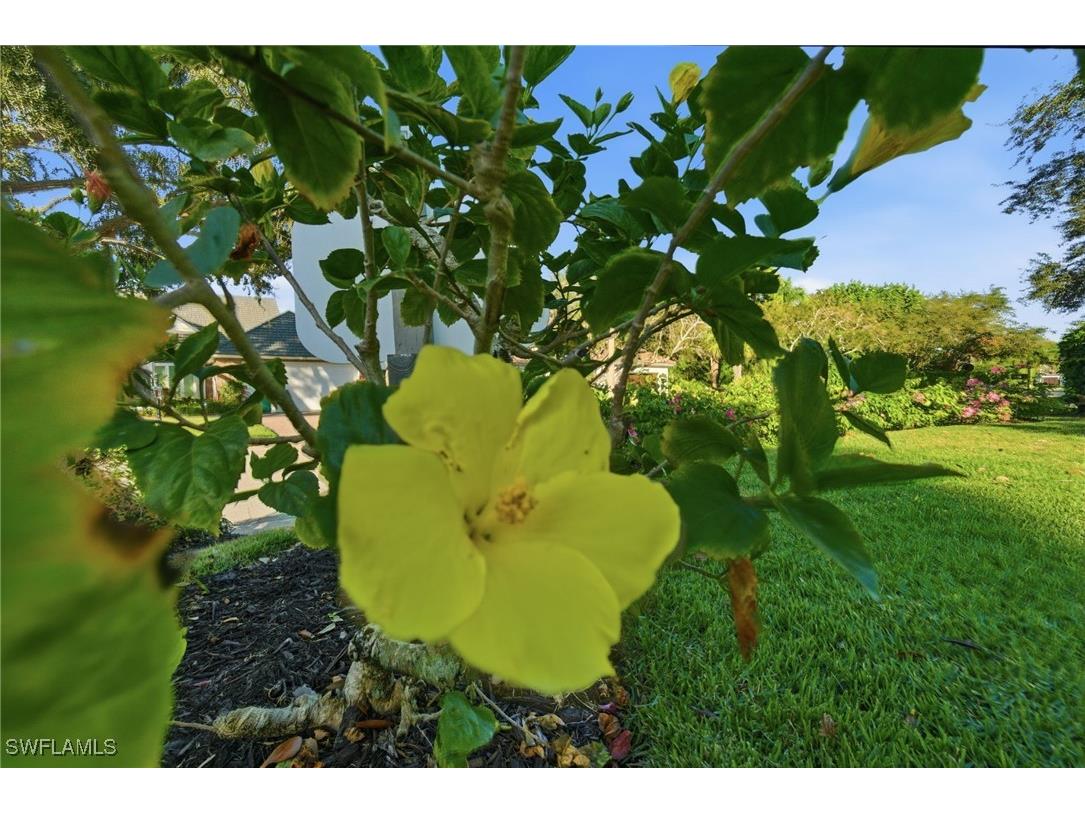716 Pitch Apple Lane Naples FL 34108 226003714 image12