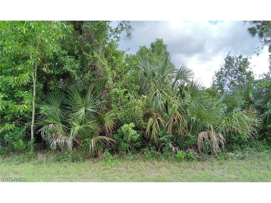 716 Theodore Vail Street E Lehigh Acres FL 33974 224013009 image1